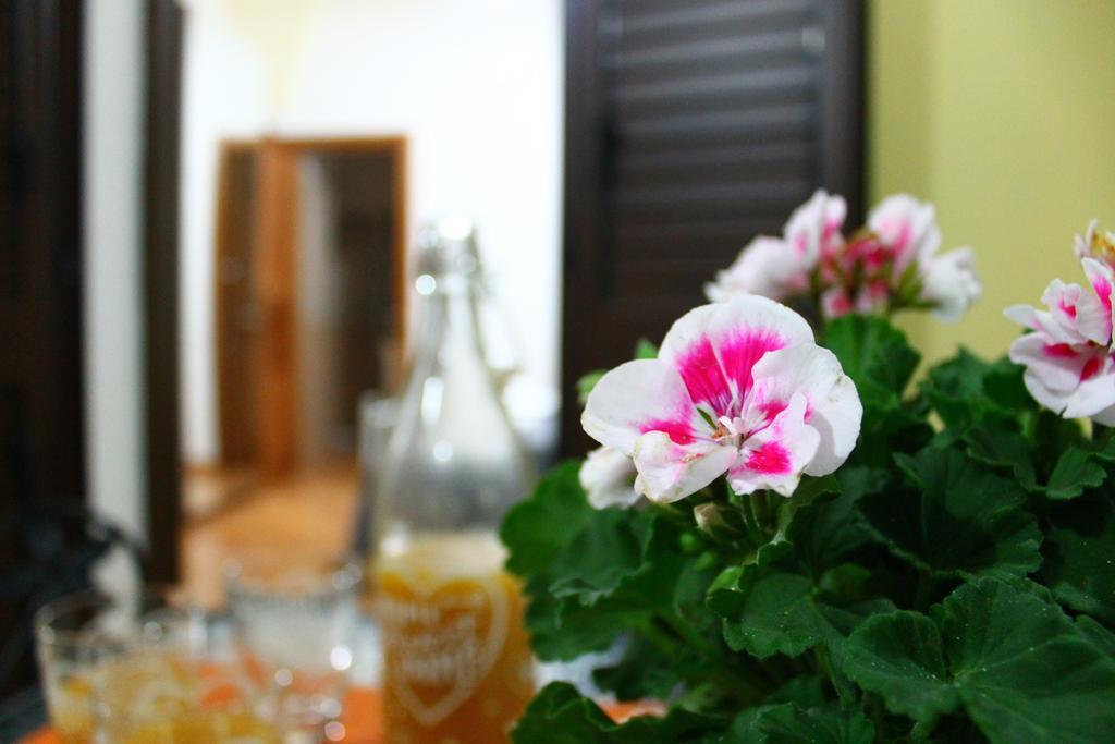 Corte La Rosa ナルド エクステリア 写真