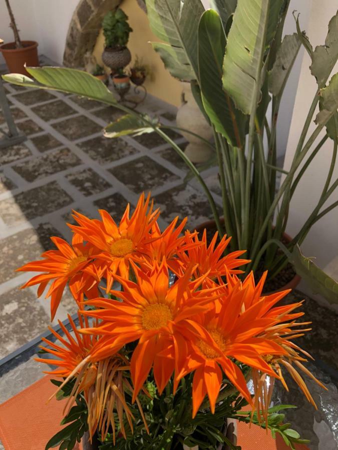 Corte La Rosa ナルド エクステリア 写真